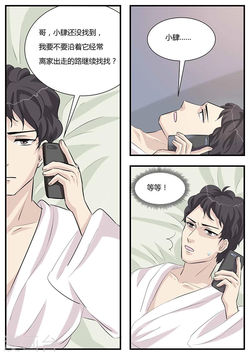 猫奴富少好缠人漫画,第2话2图
