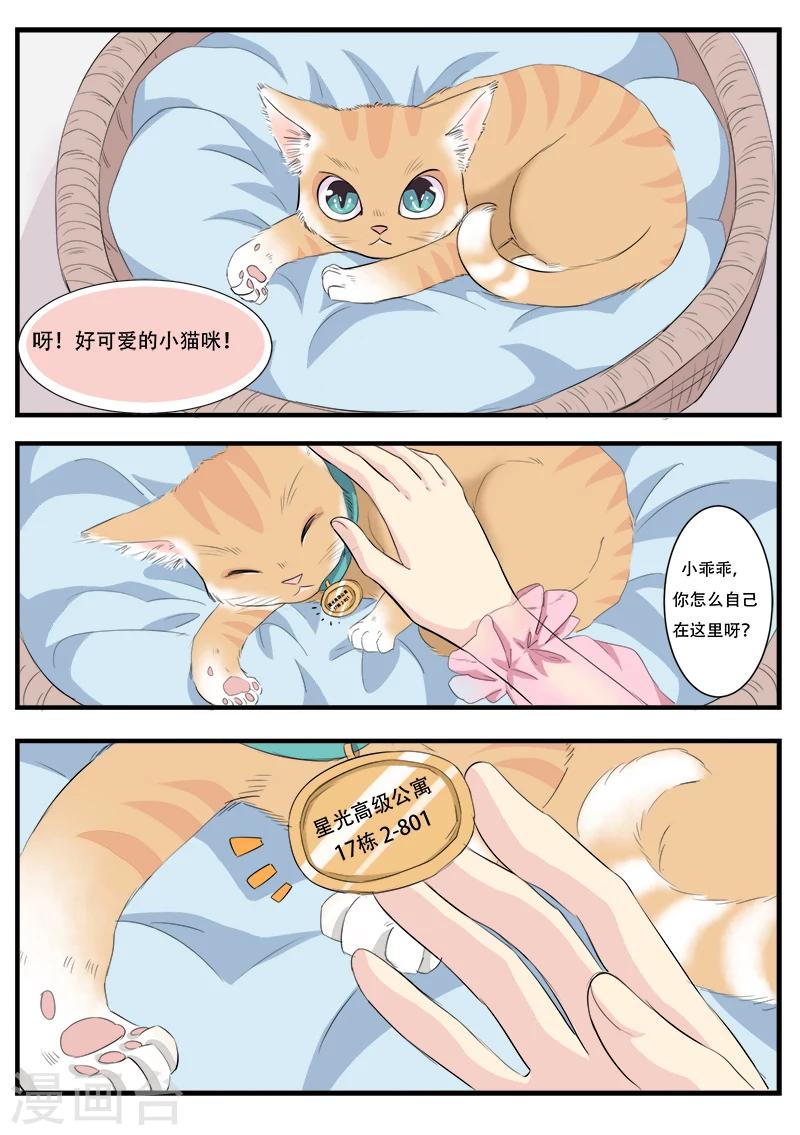 猫奴富少好缠人漫画,第1话1图