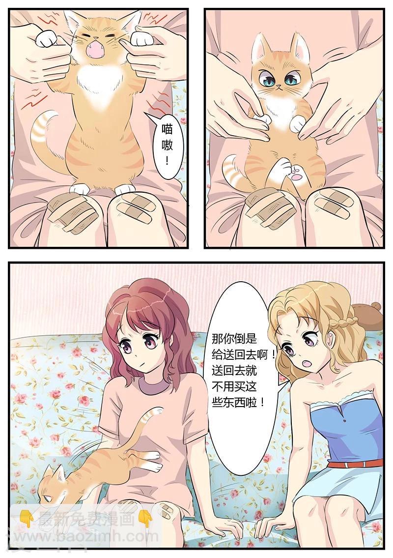 猫奴富少好缠人漫画,第2话1图