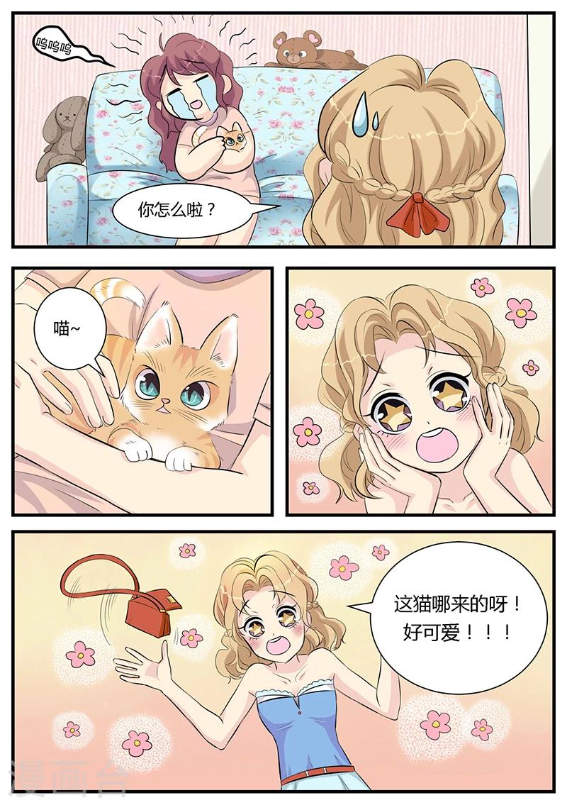 猫奴富少好缠人漫画,第2话1图