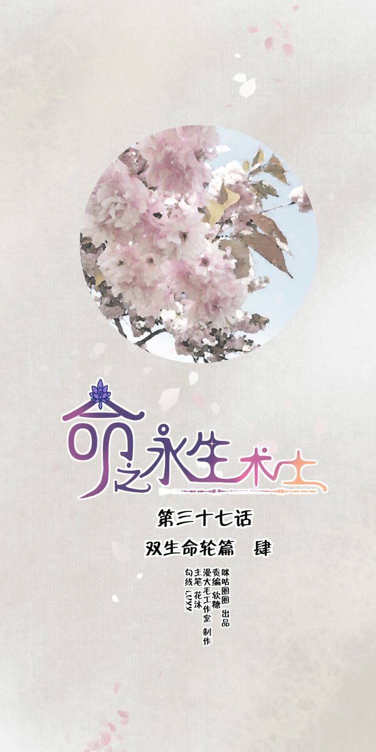 命之永生术士小说漫画,第37话 双生命轮篇041图