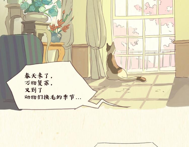 一滩猫与一根猫漫画,除毛1图