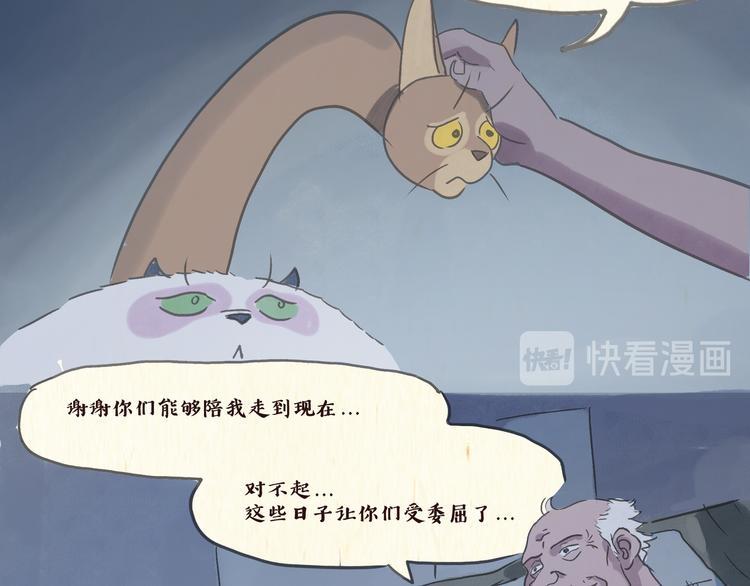 一滩猫毛是拉的还是吐的漫画,怪老头（终）1图