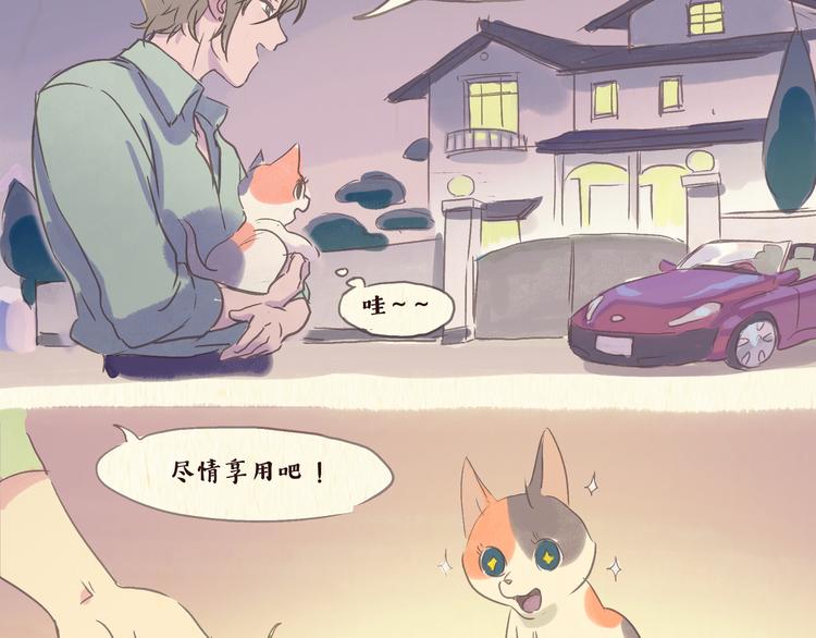 一滩猫与一根猫漫画,流浪猫（下）1图