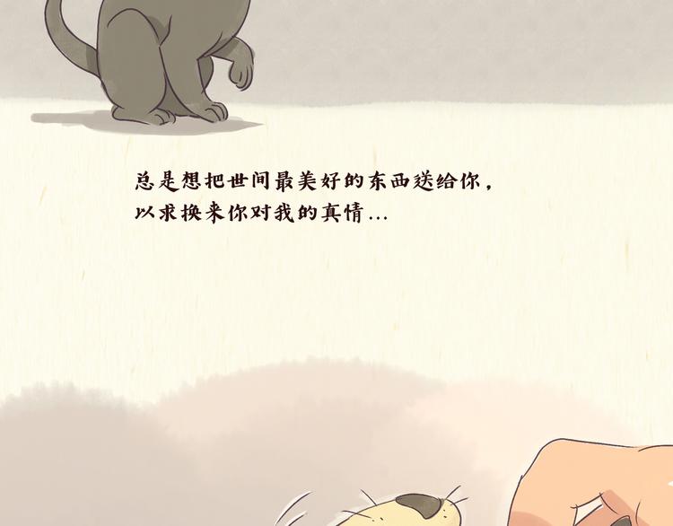 一滩猫漫画,初遇2图