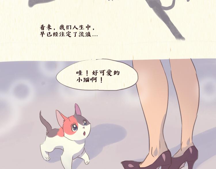 一滩猫与一根猫漫画,流浪猫（下）1图