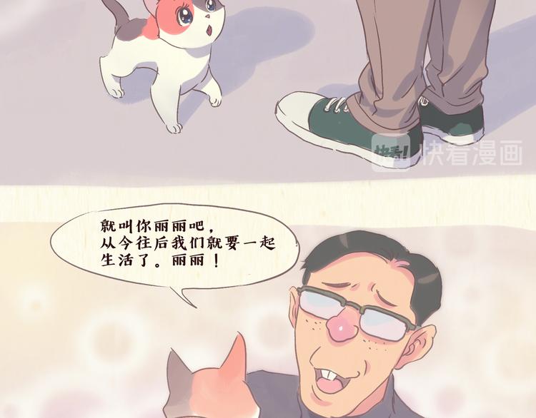 一滩猫什么意思漫画,流浪猫（上）2图