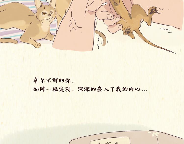 一滩猫漫画,初遇2图