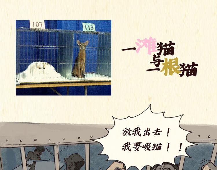 一滩猫与一根猫漫画,戒猫1图