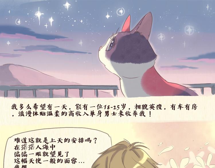 一滩猫与一根猫漫画,流浪猫（下）1图