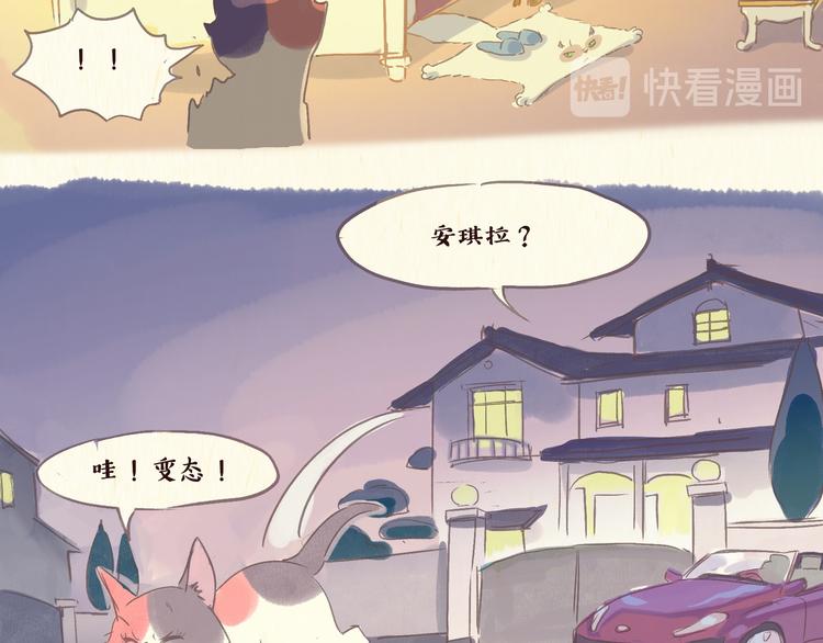 一滩猫与一根猫漫画,流浪猫（下）2图