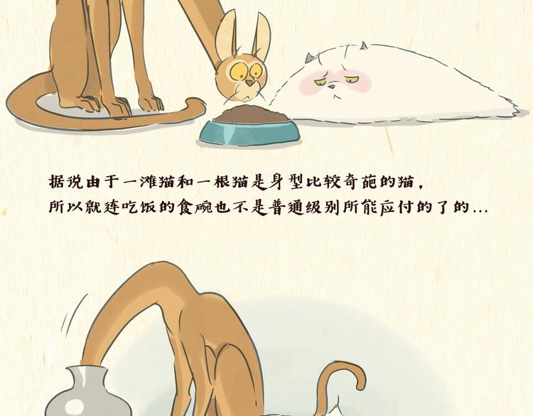 一滩猫与一根猫漫画,美食（1）2图