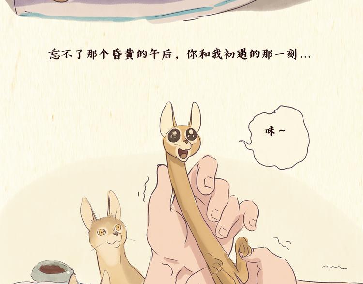 一滩猫漫画,初遇1图