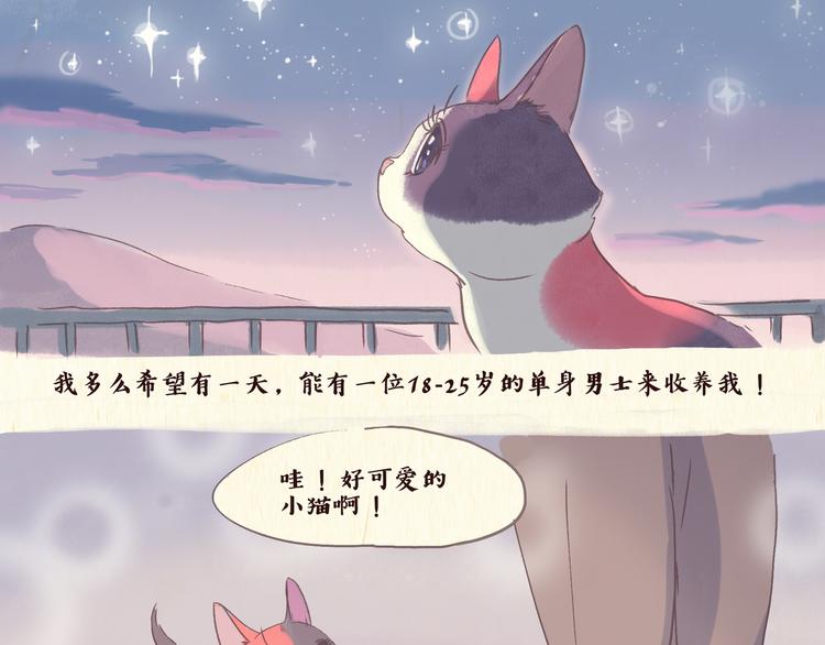 一滩猫什么意思漫画,流浪猫（上）1图