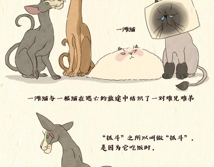 一滩猫与一根猫漫画,铲屎官2图