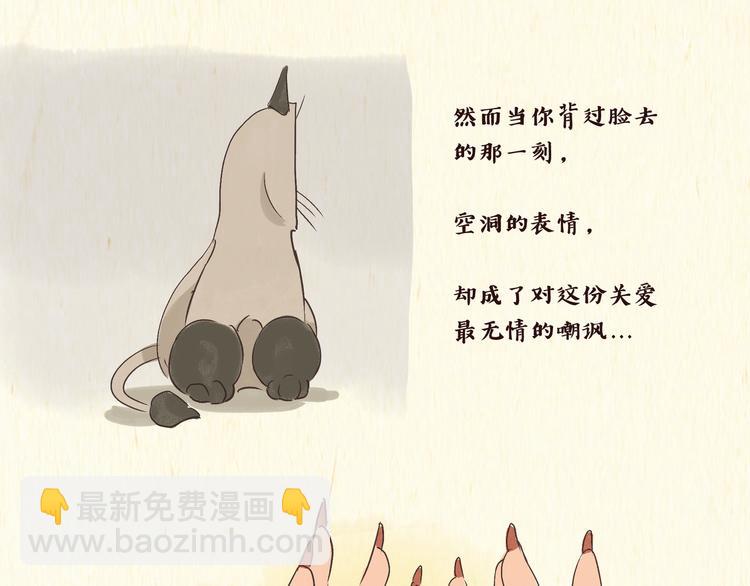 一滩猫漫画,初遇2图