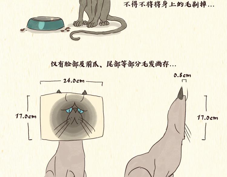 一滩猫一根猫一条猫一坨猫图片漫画,铲屎官2图