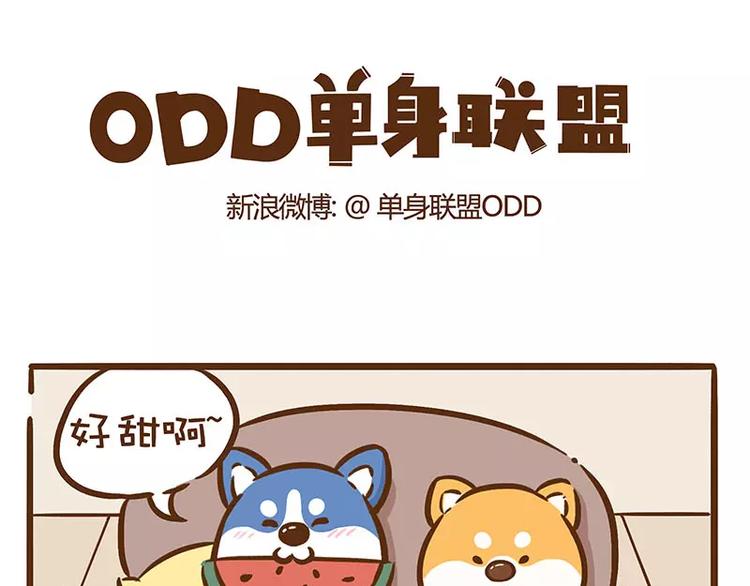 odd单身联盟发布会漫画,第14话 吃西瓜1图