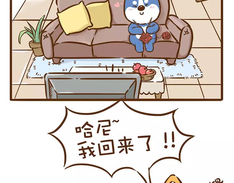 ODD单身联盟漫画,第13话 炸毛1图