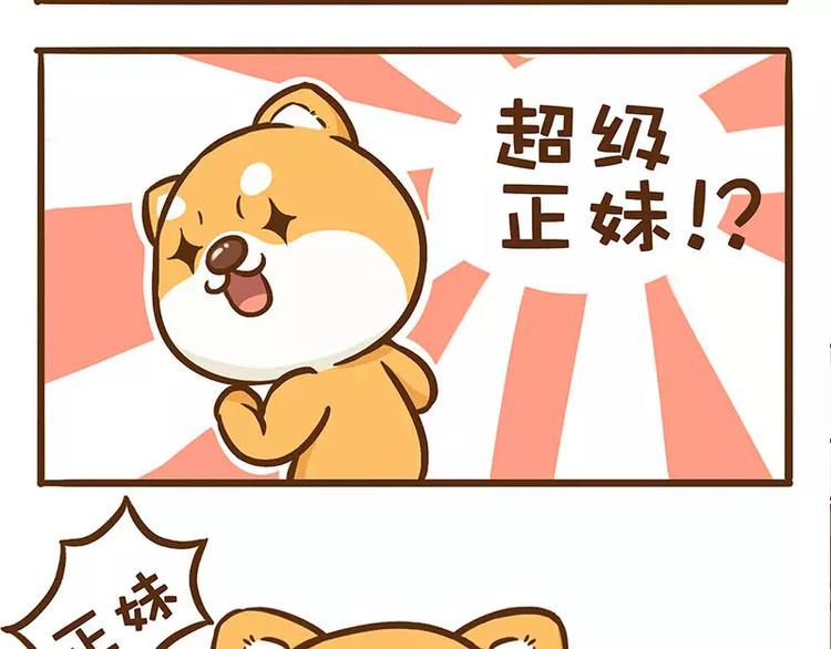 讴蒂电动三轮车价格漫画,第7话 二哈的超级正妹1图