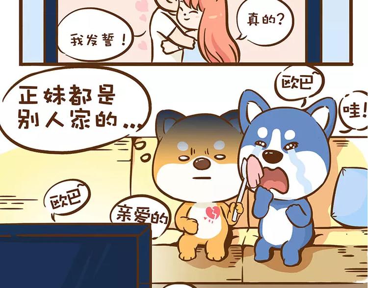 讴蒂电动三轮车价格漫画,第7话 二哈的超级正妹1图