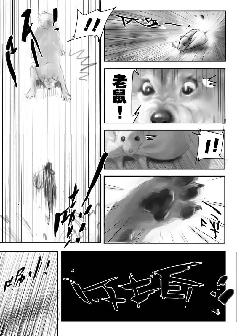 九道谷漂流漫画,第1话 相遇2图
