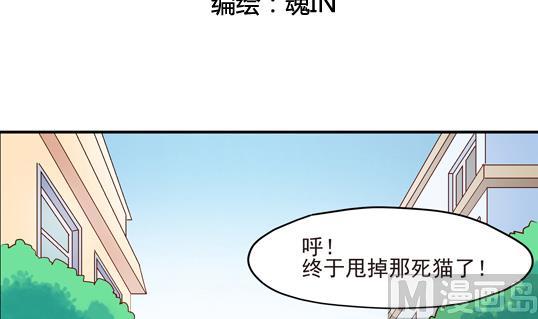 鼠辈至上,猫辈走开漫画,第12话1图