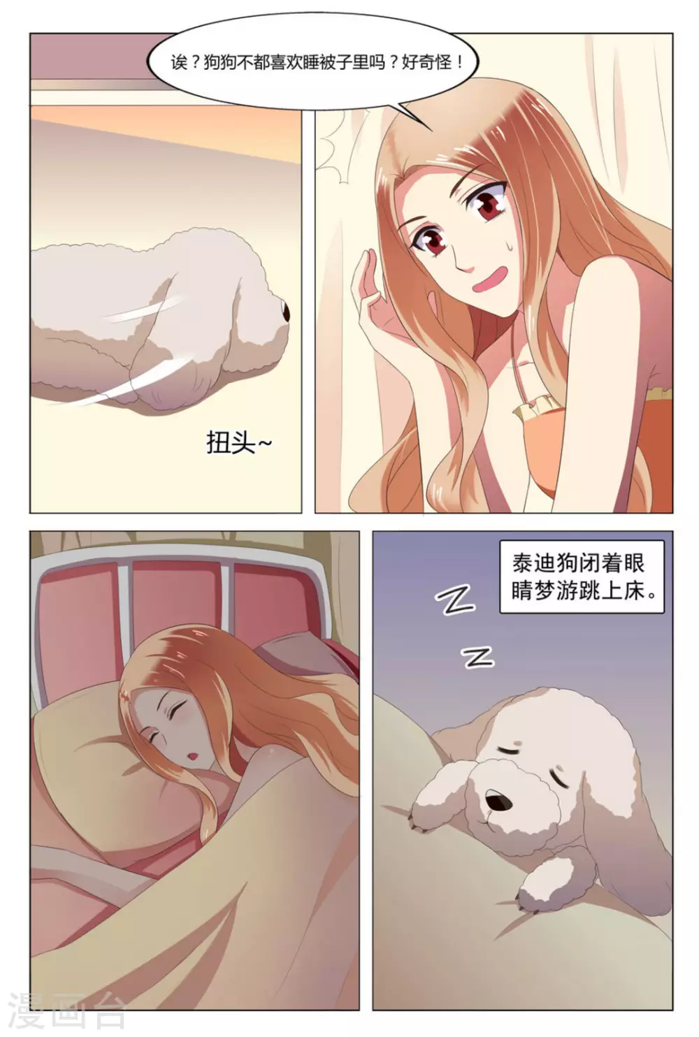 我的房东是泰迪漫画,第3话2图