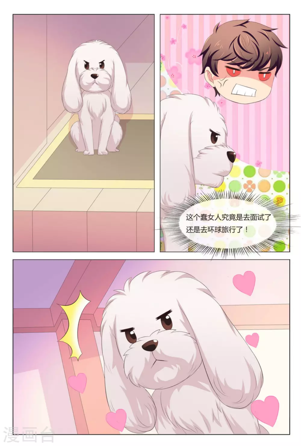 我的房东是泰迪漫画,第8话2图