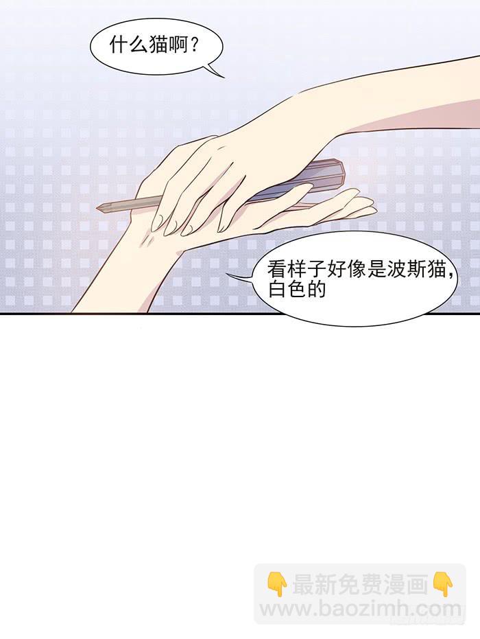 双喵ฅ^•ﻌ•^ฅ漫画,第013话2图