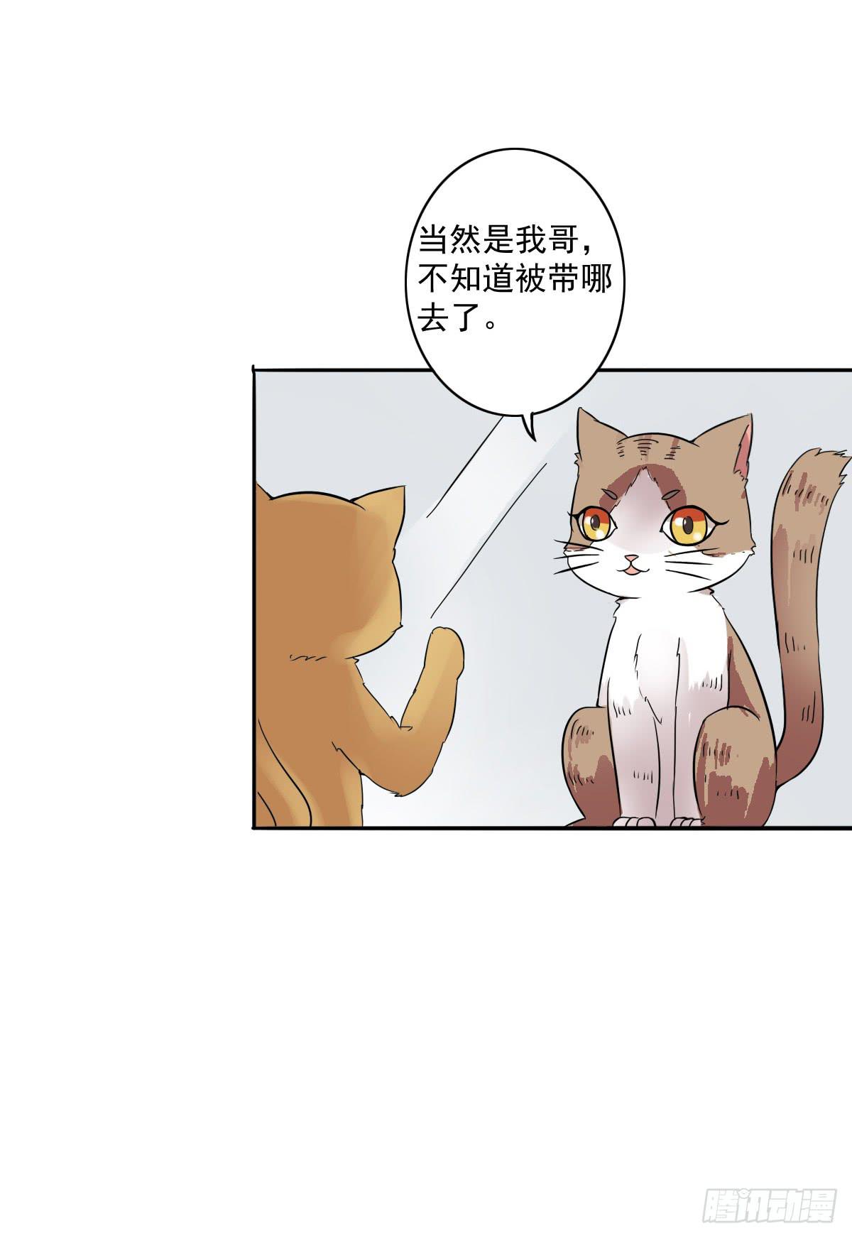 双贵人图腾漫画,第004话1图