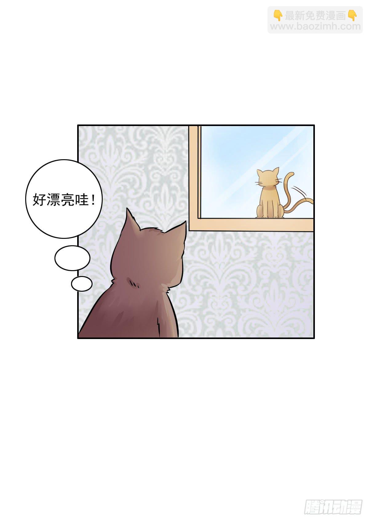 双色球蓝号今日推荐漫画,第004话1图