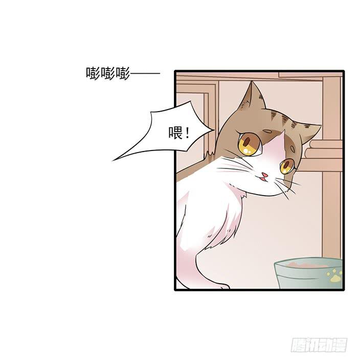 双色球杀号漫画,第011话1图