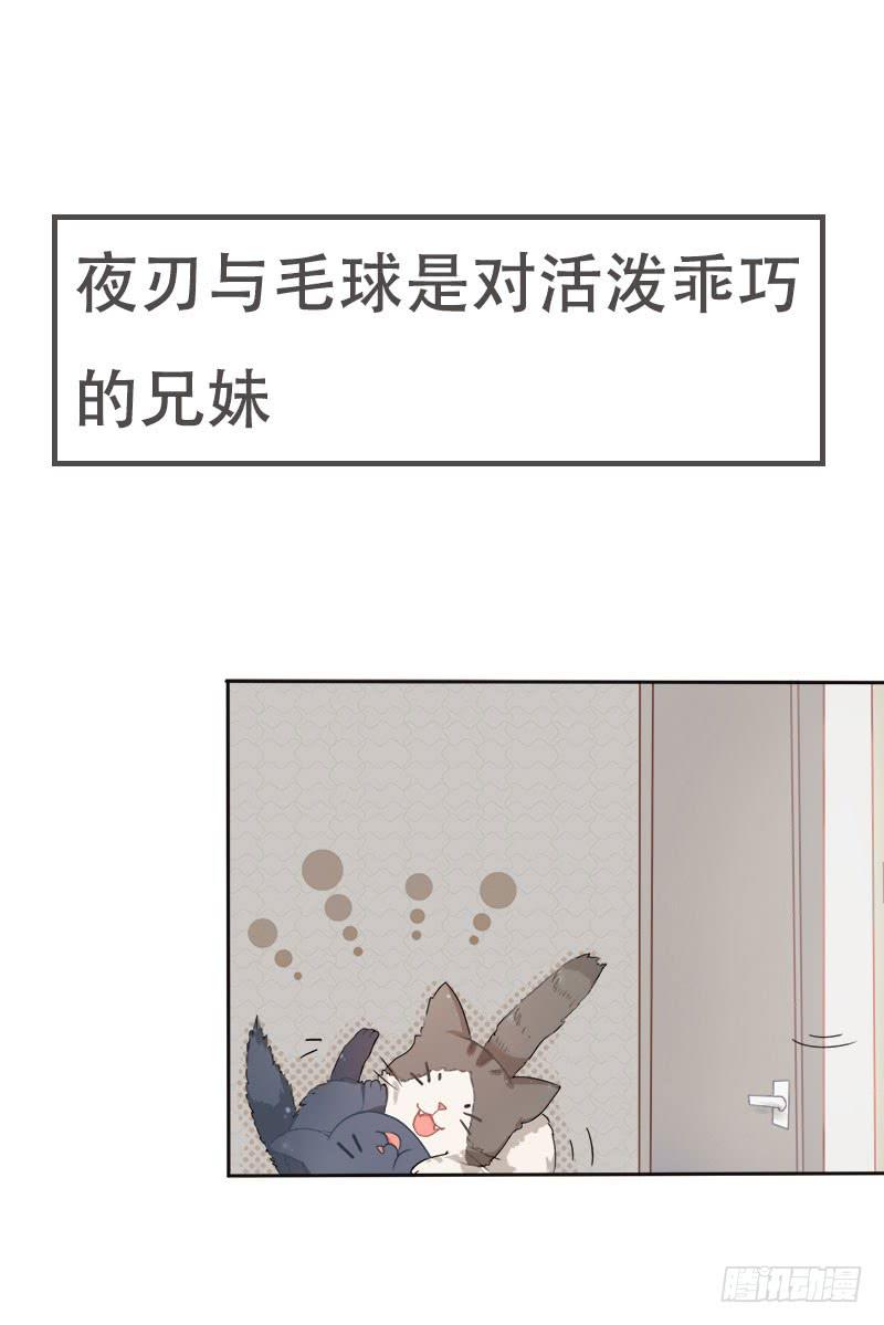 双喵的姐姐白喵漫画,预告1图