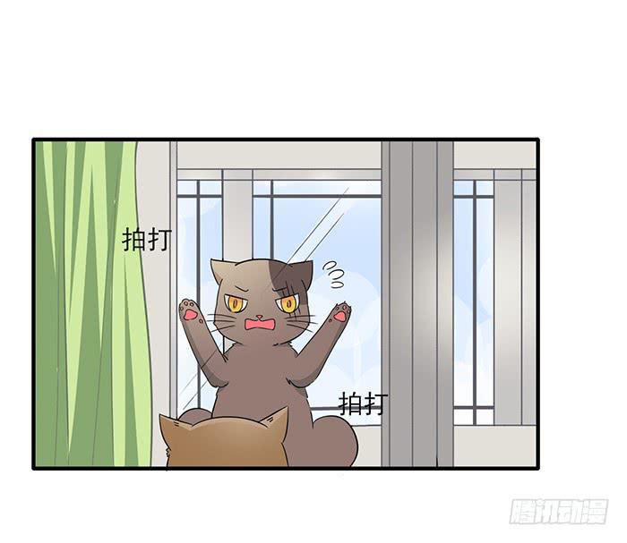 双色球杀号漫画,第011话2图