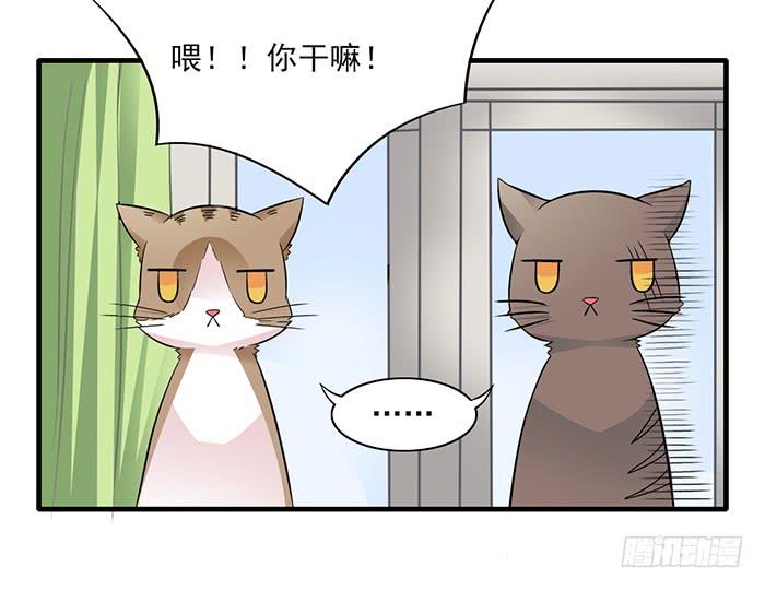 双色球开奖查询漫画,第012话2图