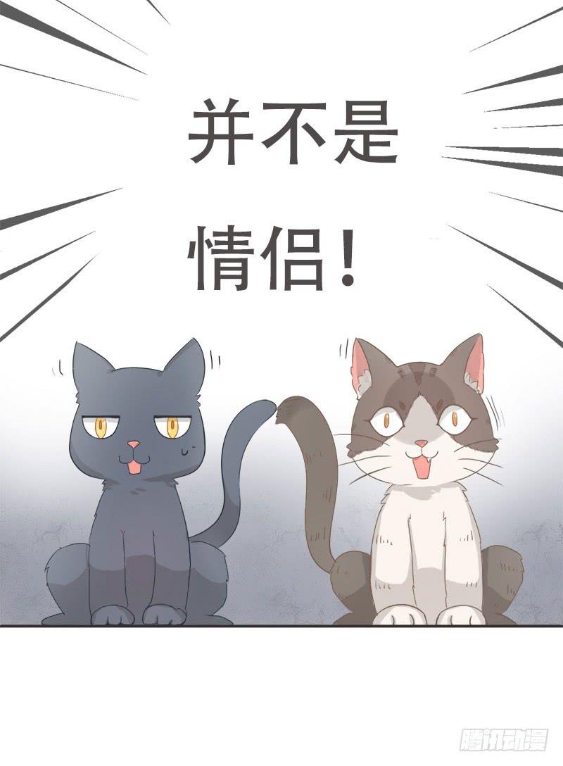 双色球蓝号今日推荐漫画,预告2图