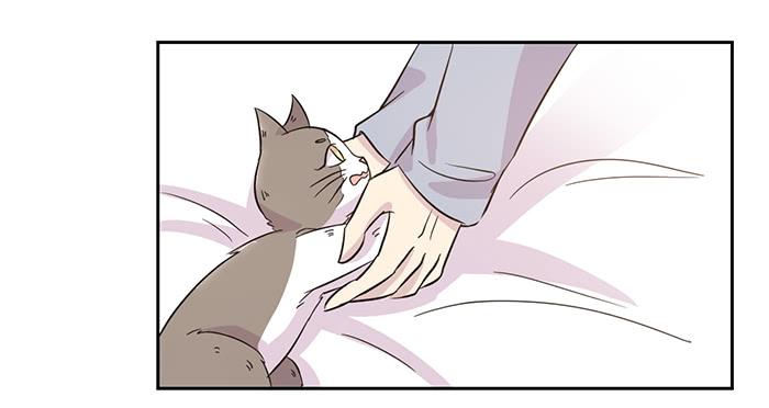 双喵图腾漫画,第019话2图