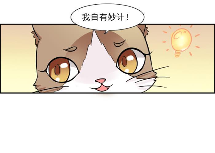 双喵图腾漫画,第009话1图