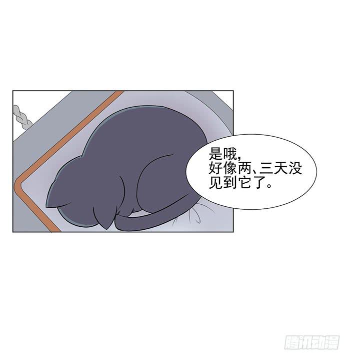 双十一晚会停办意味着什么漫画,第043话1图