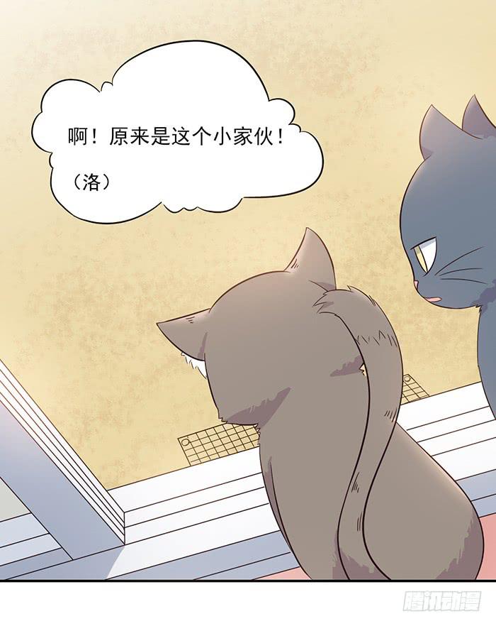 双喵ฅ^•ﻌ•^ฅ漫画,第013话1图