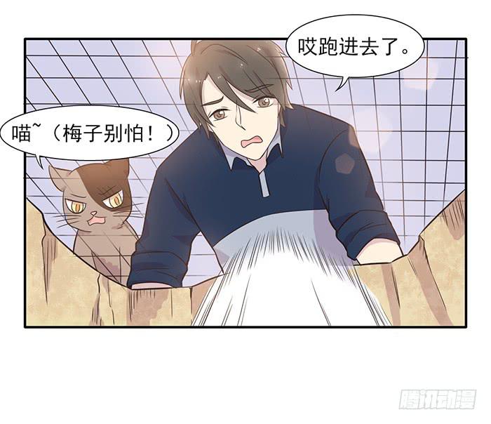 双喵ฅ^•ﻌ•^ฅ漫画,第013话1图