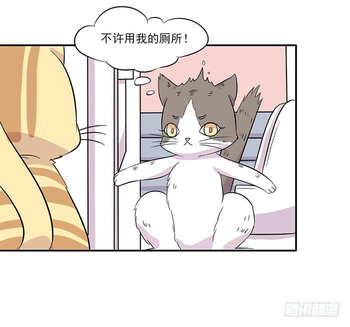 双喵图腾漫画,第015话2图