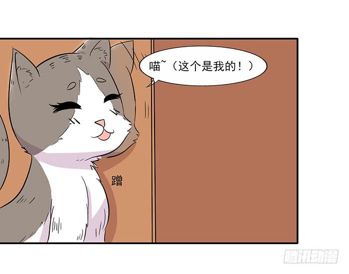双喵图腾漫画,第015话1图