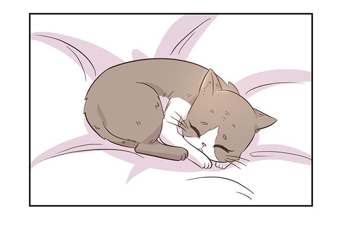 双喵图腾漫画,第019话2图