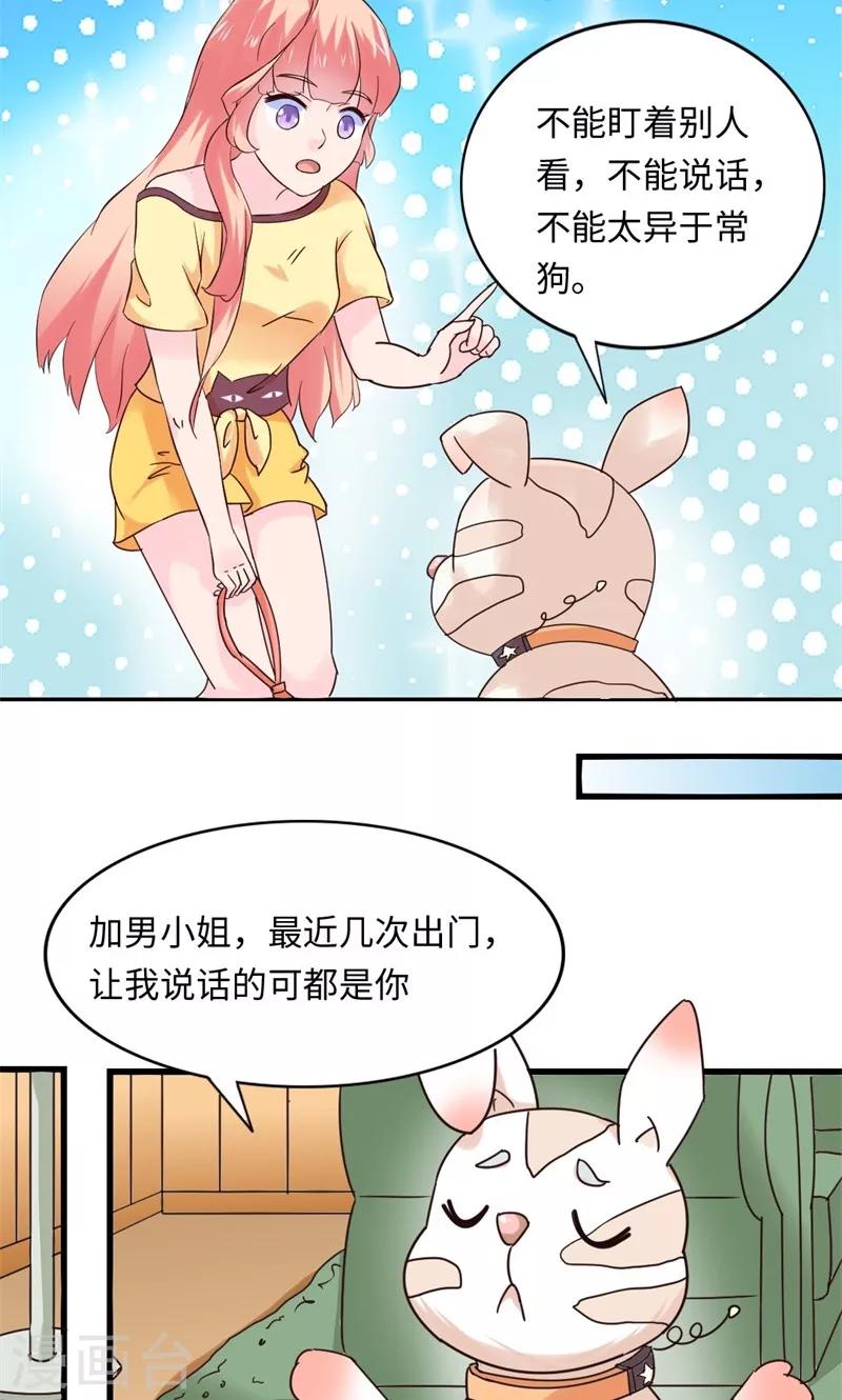 狗粮好还是剩饭好漫画,第16话1图