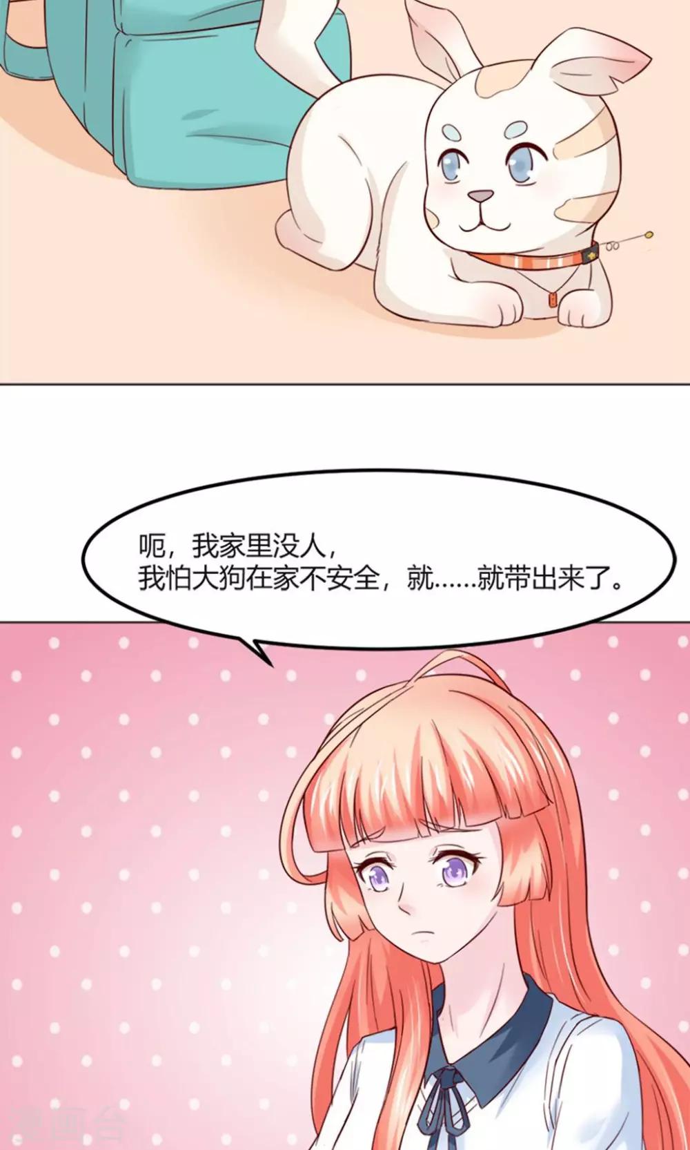 狗粮好坏如何判断漫画,第28话2图