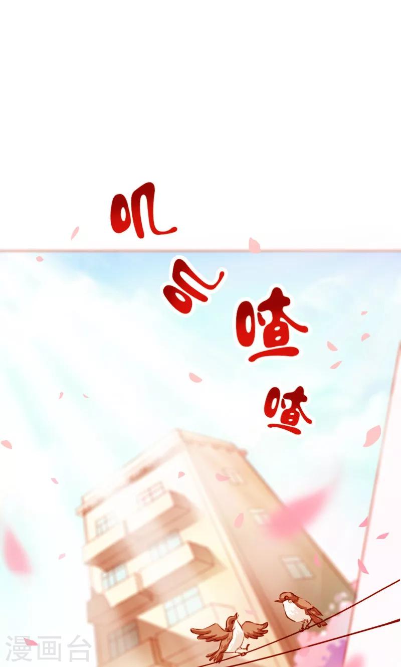 狗粮哪种好漫画,第1话1图