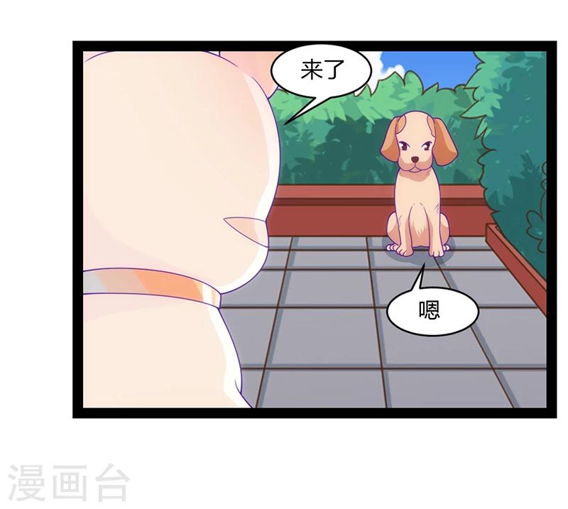 狗粮好吃漫画,第48话1图