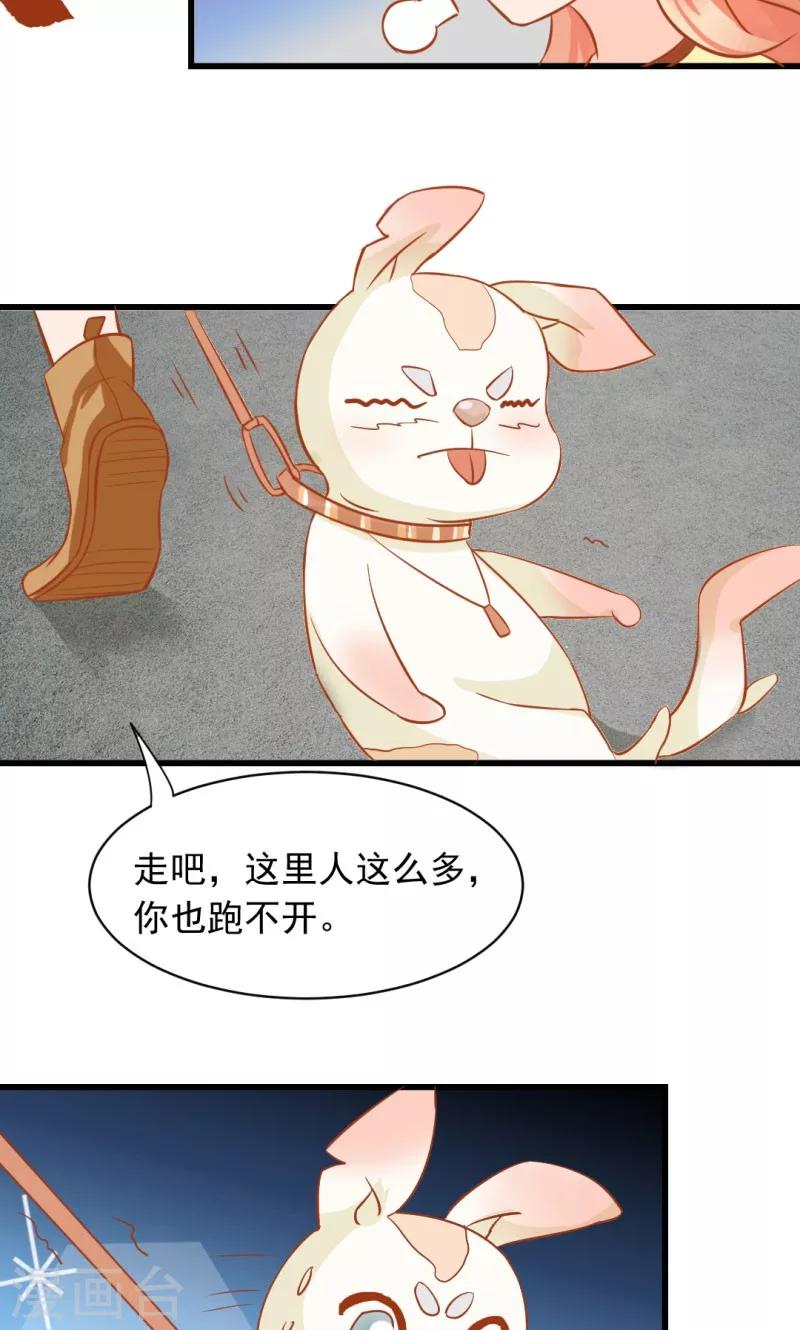 狗粮好处与坏处漫画,第12话1图